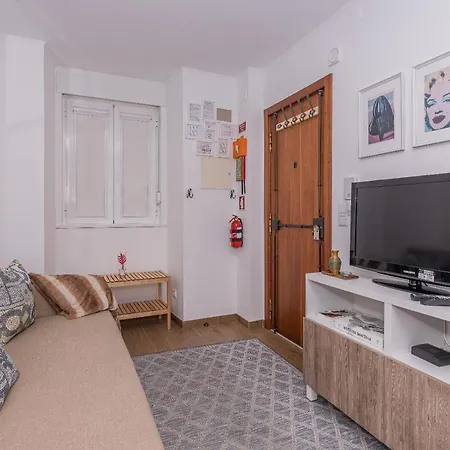 Feira Da Ladra Comfy Premium