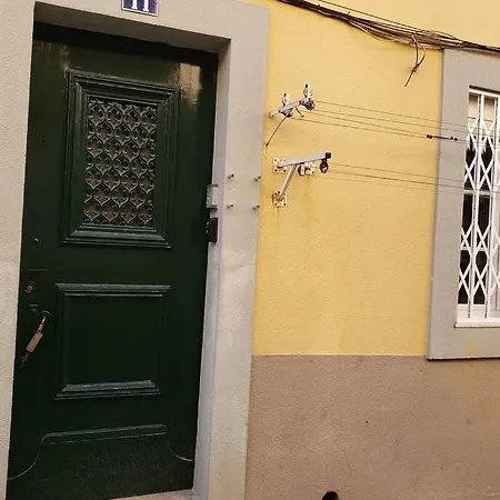 Feira Da Ladra Comfy Premium Lissabon